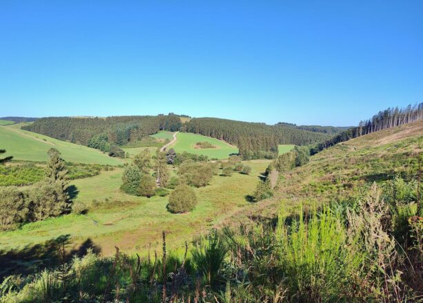 Im schönen Bierbachtal