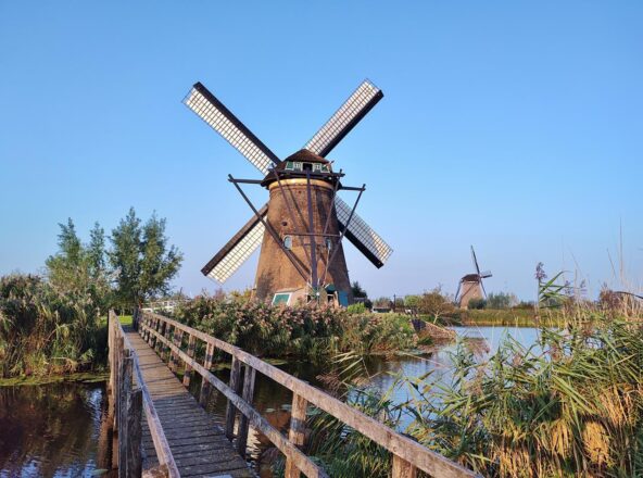 Windmühlen im Abendlicht