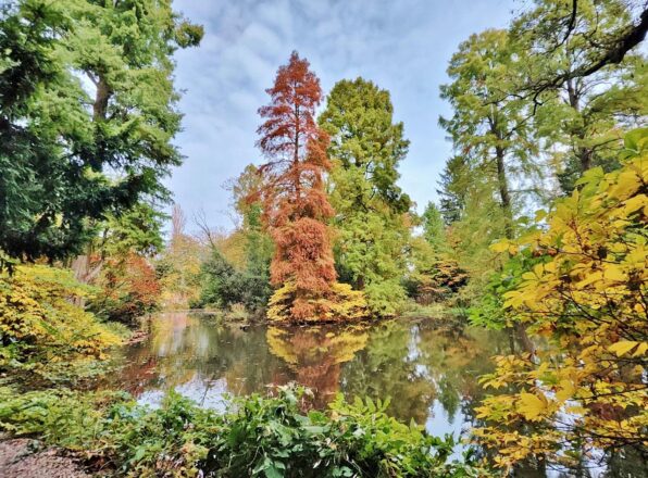 Herbst auf Hombroich