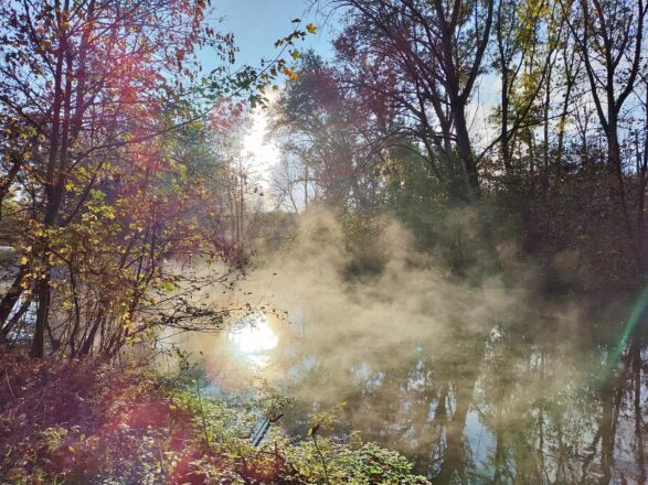 Herbst an der Erft