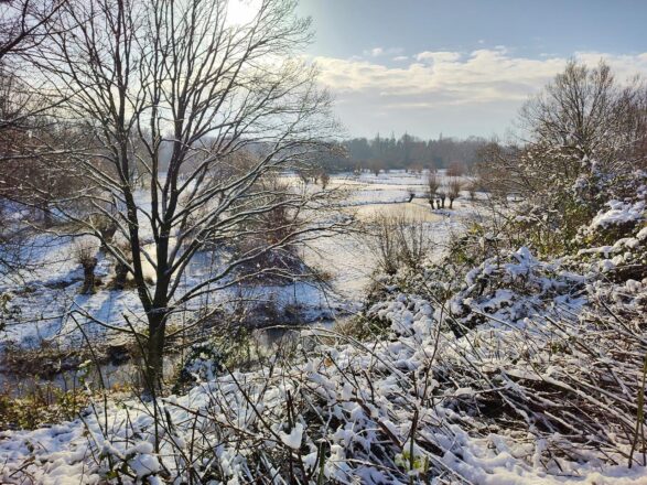 Schnee auf Hombroich