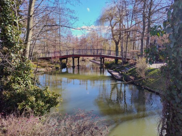 Lübben im Spreewald