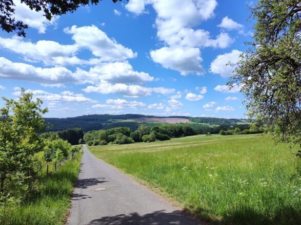 Rauf zum Leyenbach-Wasserfall