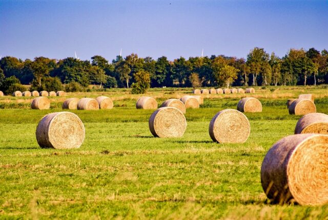 Erich Kästner: Der Juni