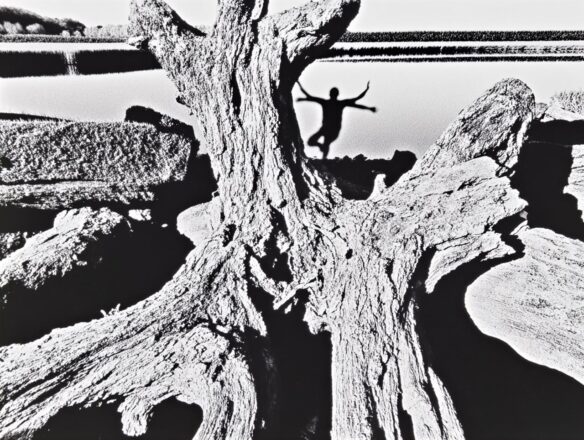 Fotografieren wie Brett Weston