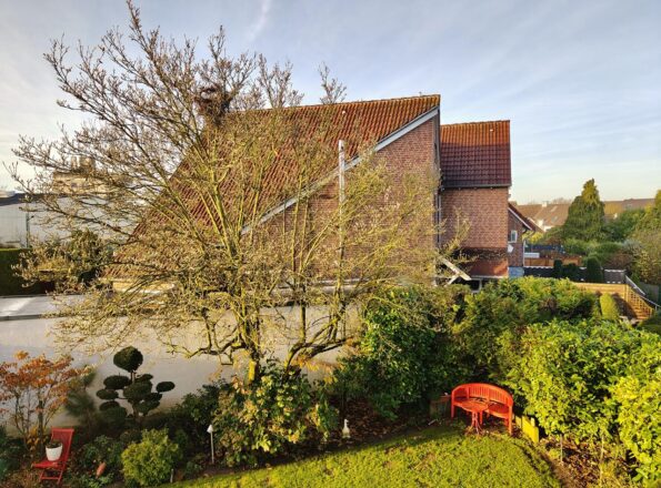 Blätter weg, Knospen bereits da