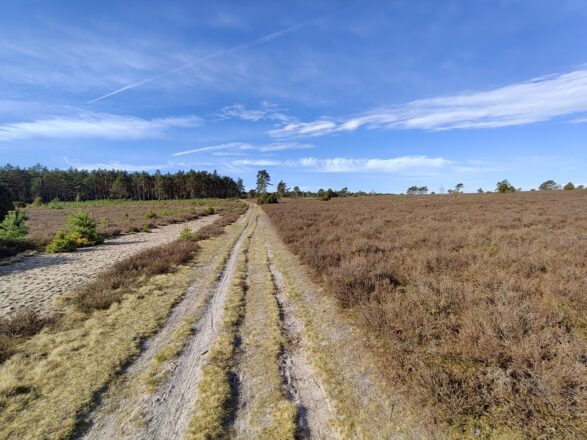 Heidewanderung zum Heusselberg