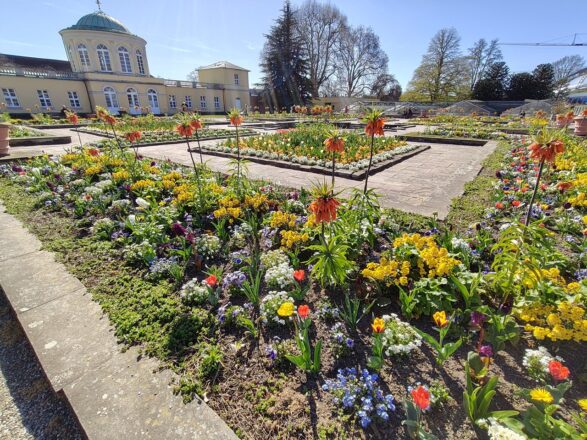 Blumenpracht im Berggarten