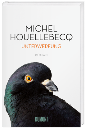 Mein zweiter Houellebecq