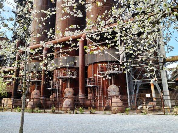 Zarte Blüten versus harter Stahl