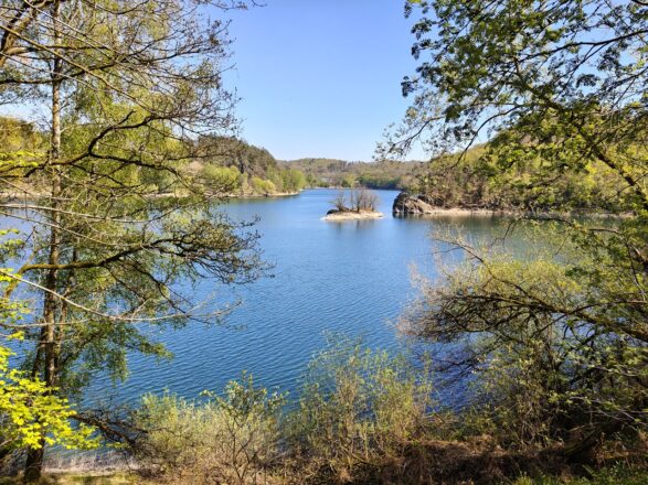 Wuppertalsperre im Frühling