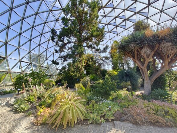 Botanischer Garten der HHU