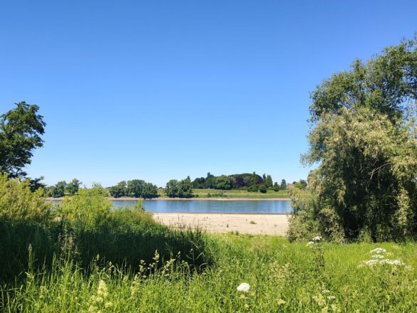 Universität, Himmelgeist, Rheinbogen