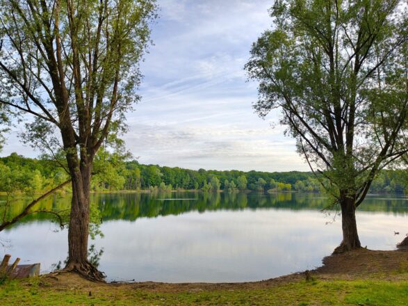 Höhenfelder See & Tierpark Dünnwald