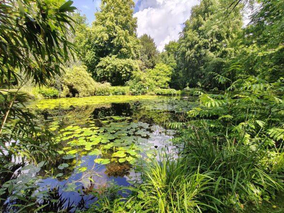Neue Kunst im Malkastenpark