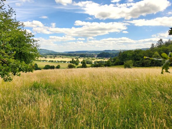 Wanderung Saarschleife Mettlach