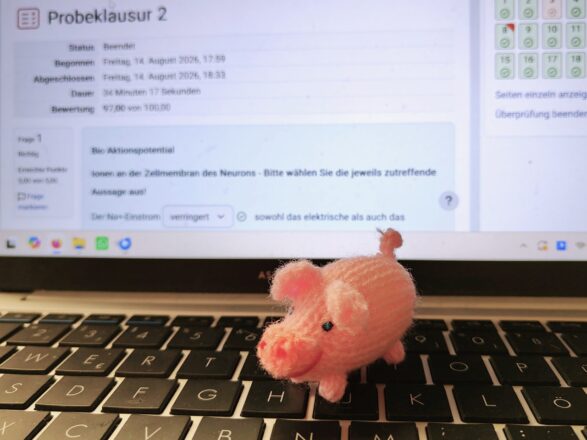 Das Glücksschweinchen wirkt schon